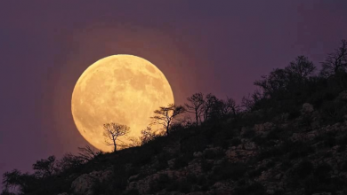 21 eylül balık dolunayı