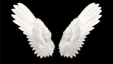 melek sayıları nedir? melek sayıları ve anlamları