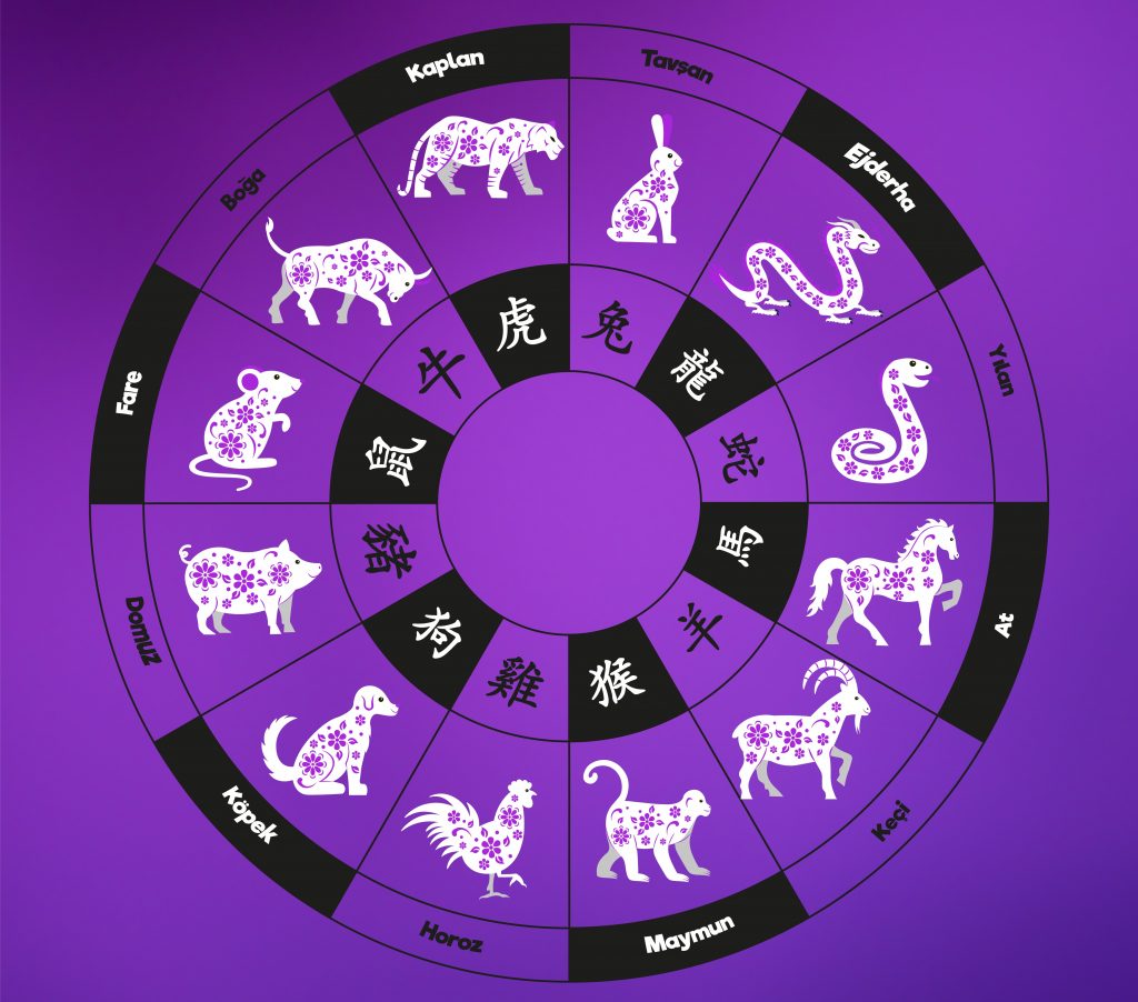 çin astroloji