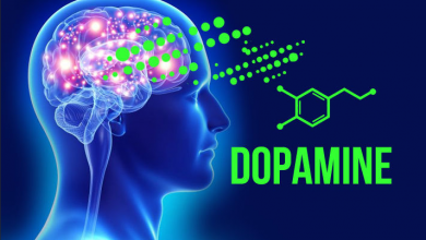 dopamin nedir, dopamin seviyesi nasıl arttırılır, dopaminin mutlulukla ilişkisi