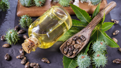 Hint Yağı Nedir? Hint Yağının Faydaları Nelerdir? Nasıl Kullanılır?