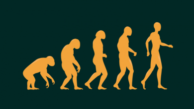 Darwin’in Evrim Teorisi Nedir?